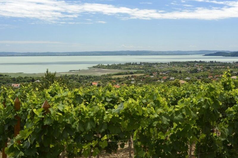 The Turquoise Sea of Hungary: Lake Balaton Private Tour - Transportation and Guide