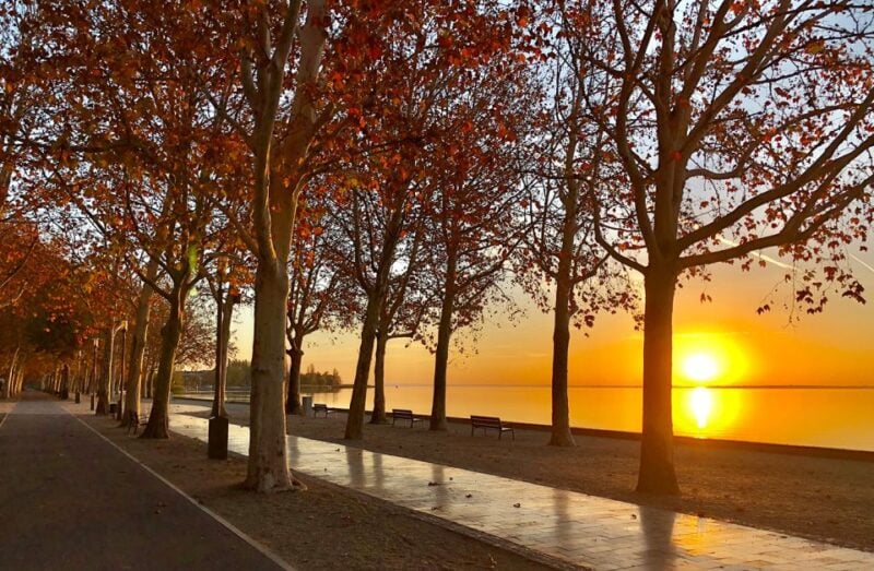 The Turquoise Sea of Hungary: Lake Balaton Private Tour - Customer Reviews and Ratings