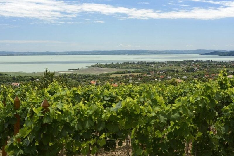 The Turquoise Sea of Hungary: Lake Balaton Private Tour - Discover Tihany Peninsulas Treasures