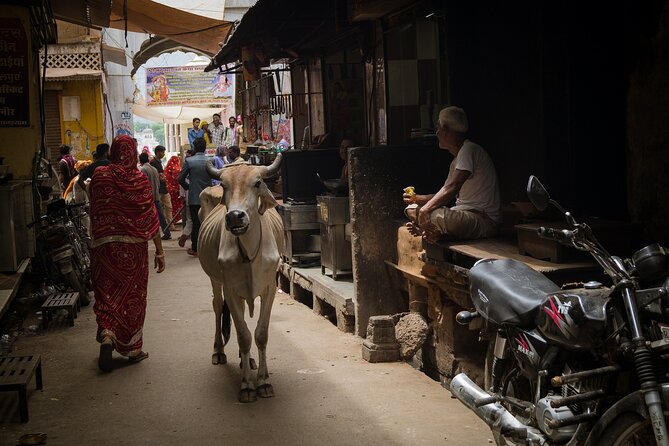 The Ultimate 3 Days in Varanasi - How to Spend 39 Hours - For First Timers - Pilgrimage to Assi Ghat