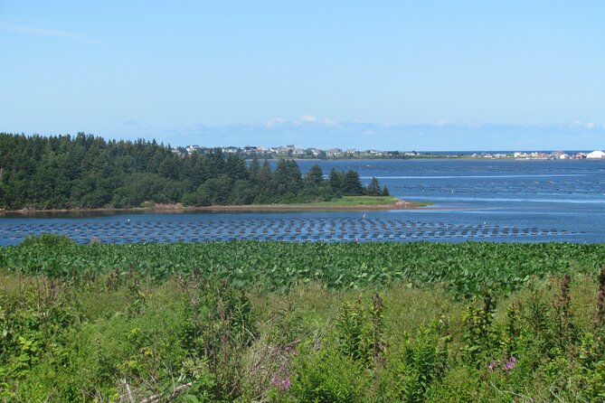 The Ultimate Anne of Green Gables Private Tour - Exploring the Green Gables Legacy