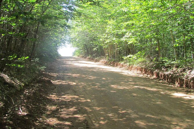 The Ultimate Anne of Green Gables Private Tour - Taking in the Anne Experience