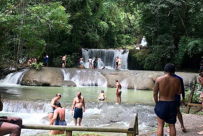 The Ultimate Appleton Estate & YS Falls Private Tour - Exploring Appleton Estate and YS Falls