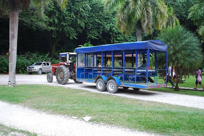 The Ultimate Appleton Estate & YS Falls Private Tour - Booking Your Stay