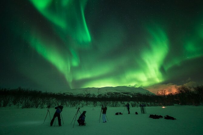 The Ultimate Aurora Photo Adventure - Exploring Abisko National Park