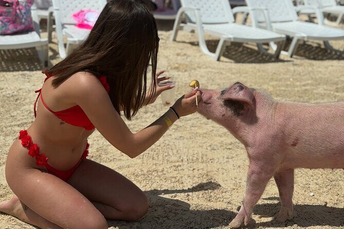 The Ultimate Bahamian Beach Day: Pigs, Jet Ski, Snorkeling & More - The Sum Up