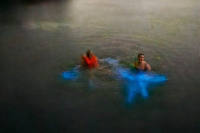 The ULTIMATE Bioluminescence Night Time Adventure With Brandon - Meeting and Location