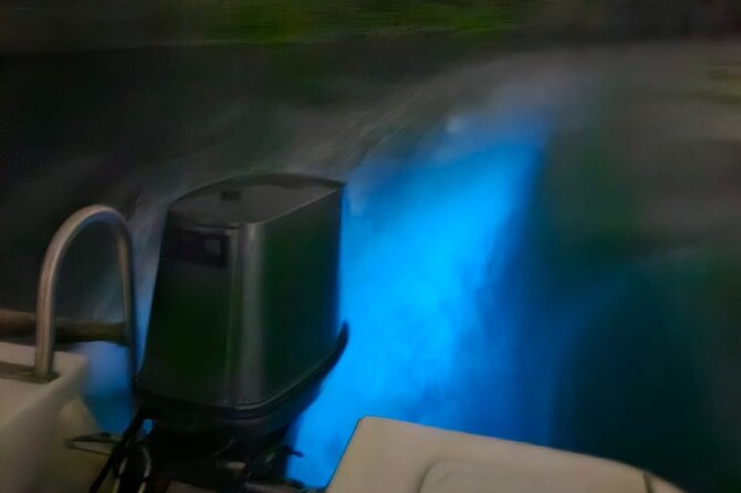 The ULTIMATE Bioluminescence Night Time Adventure With Brandon - Preparing for the Adventure