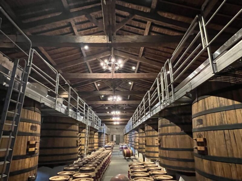 The Ultimate Bordeaux and Medoc Wine Tour - Van - Exclusive Chateau Visits