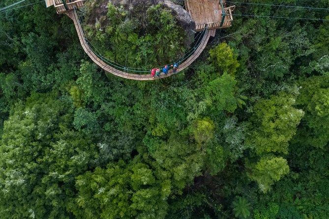 The Ultimate Canopy Zipline Experience Private Tour From Auckland - Meeting Points and Schedule