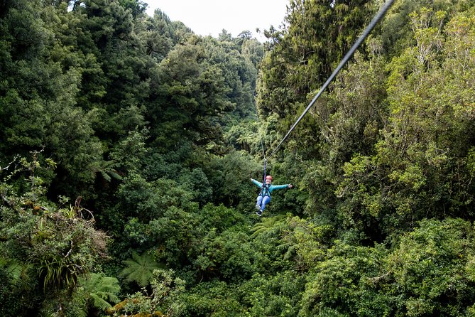 The Ultimate Canopy Zipline Experience Private Tour From Auckland - Booking Information and Reviews