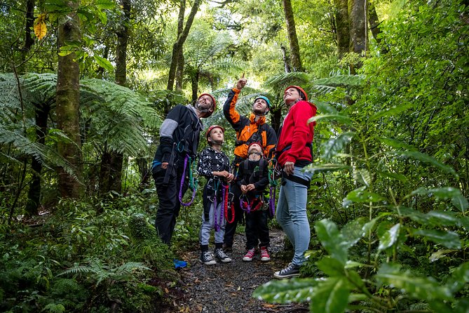 The Ultimate Canopy Zipline Experience Private Tour From Auckland - Personalized Small-Group Adventure