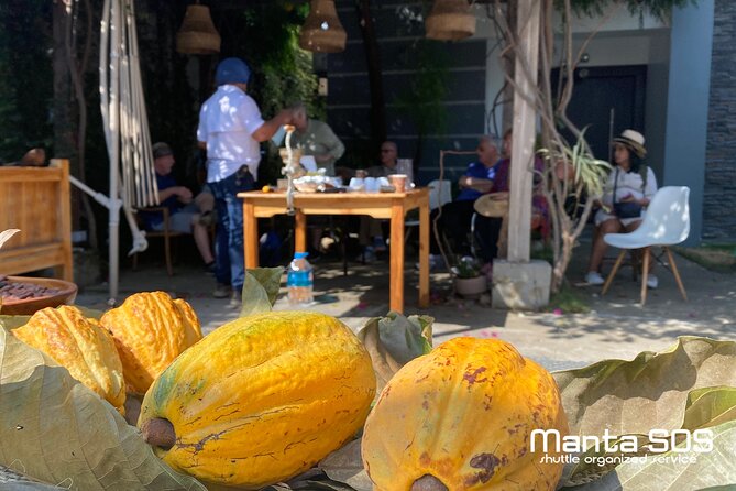 The Ultimate Cocoa Farm Experience - Key Points