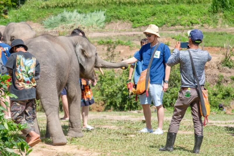 The Ultimate Elephant Experience and Coffee Workshop - Small Group, Personalized Tour