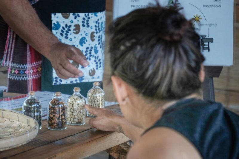 The Ultimate Elephant Experience and Coffee Workshop - Interaction With Elephants in Natural Habitat
