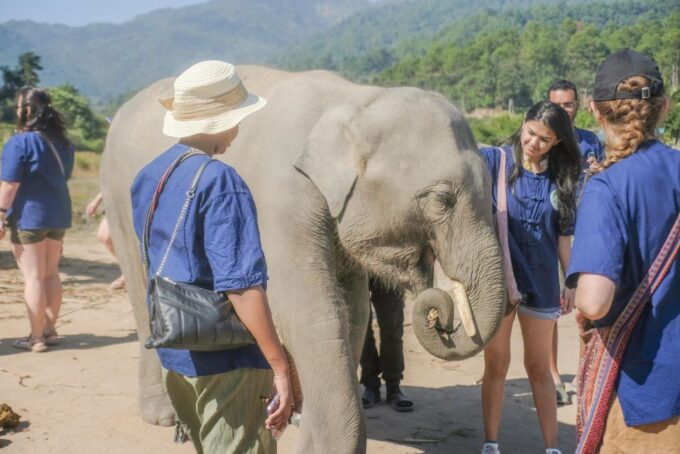 The Ultimate Elephant Experience and Coffee Workshop - Coffee Tasting and Brewing Techniques