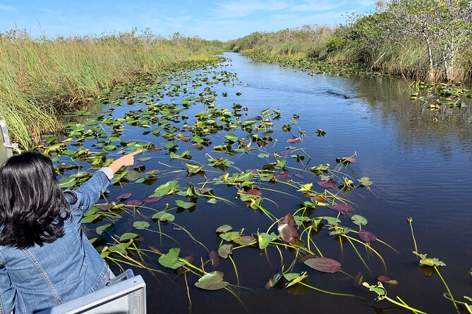 The Ultimate Everglades Airboat, Wildlife Show and Transfer - Guided Airboat Adventure