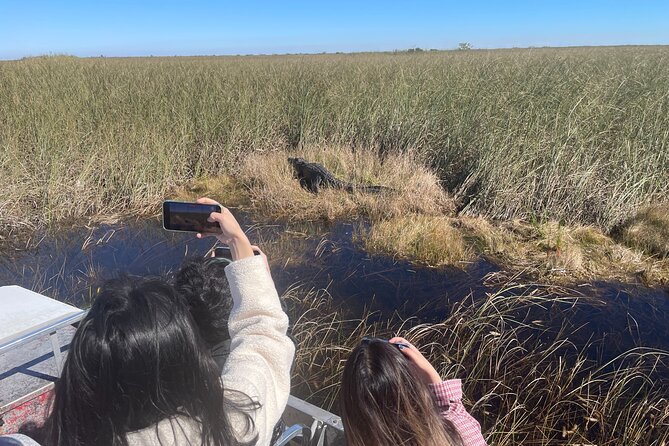 The Ultimate Everglades Airboat, Wildlife Show and Transfer - Wildlife Presentation and Photo Opportunity
