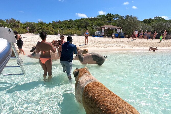 The Ultimate Exuma Day Trip and Island Discovery - Additional Information