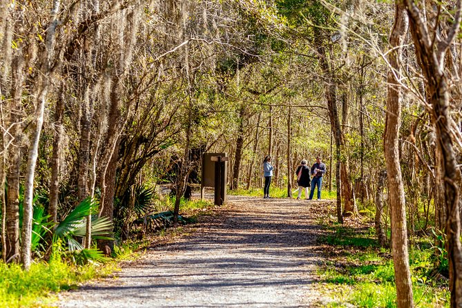The Ultimate Historical Plantation Private Day Trip - Recap