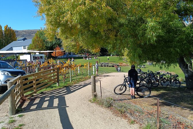 The Ultimate Lake Dunstan Bike Hire And Boat Experience - Meeting Point and Logistics