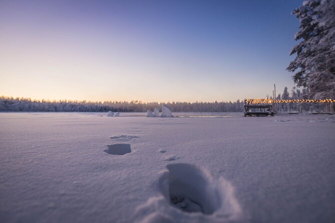 The Ultimate Lappish Adventure, Full Day Tour, Meals Included - Additional Information