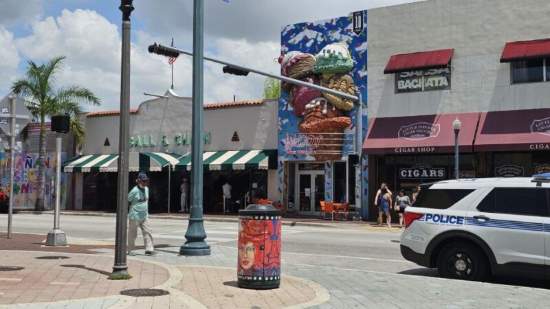 The Ultimate Little Havana Food Tour - Visiting Domino Park