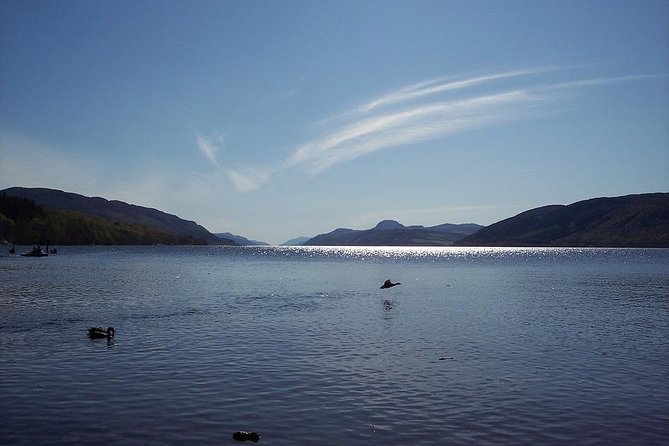 The Ultimate Loch Ness Group Tour From Invergordon - What to Expect