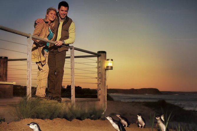 The Ultimate Melbourne Attractions Pass - Tips for Using the Pass