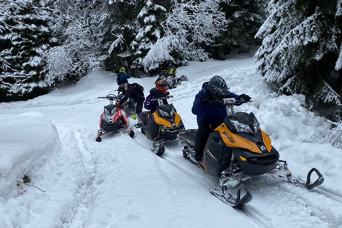 The Ultimate Snowmobile Adventure - 7 Rila Lakes & Panichishte - Flexibility in Meeting Locations