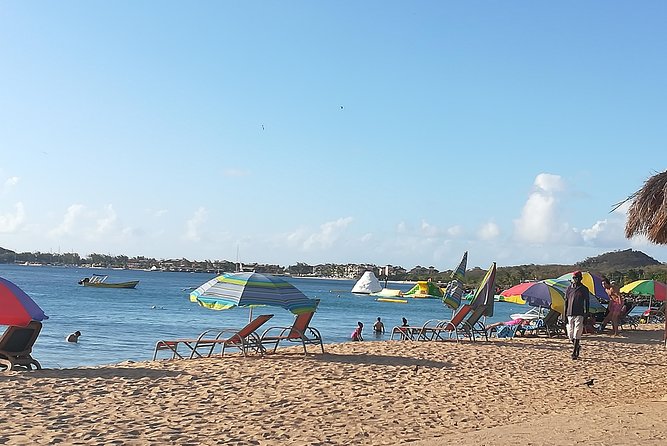 The Ultimate St. Lucian Experience Tour for Cruise Ship Passengers - Safety and Reliability Assurance