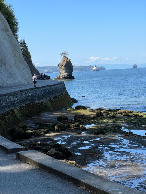The Ultimate Stanley Park E-Bike Tour - Equipment and Safety Assurances