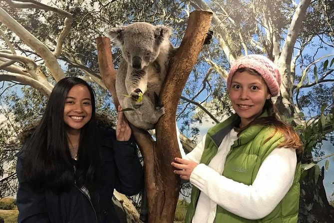 The Ultimate Sydney Attractions Pass - Pass Options and Validity
