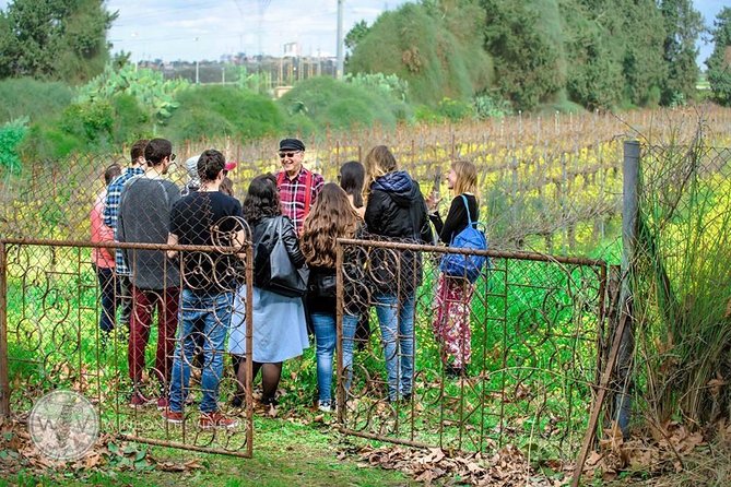 The Ultimate Wine Experience - Key Points