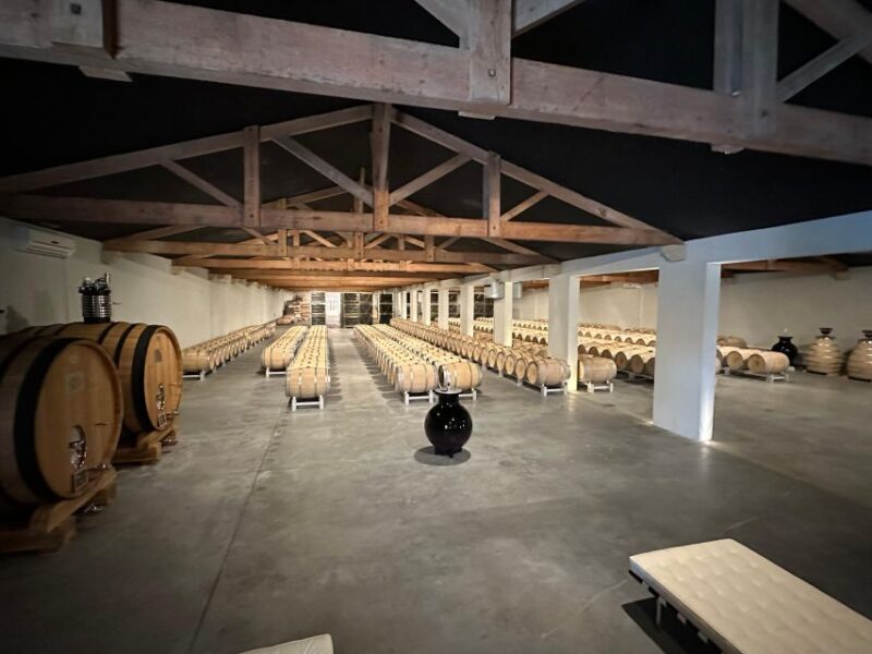 The Ultimate Wine Tour for 1855 Classified Chateaux - Prestigious 1855 Classified Chateaux
