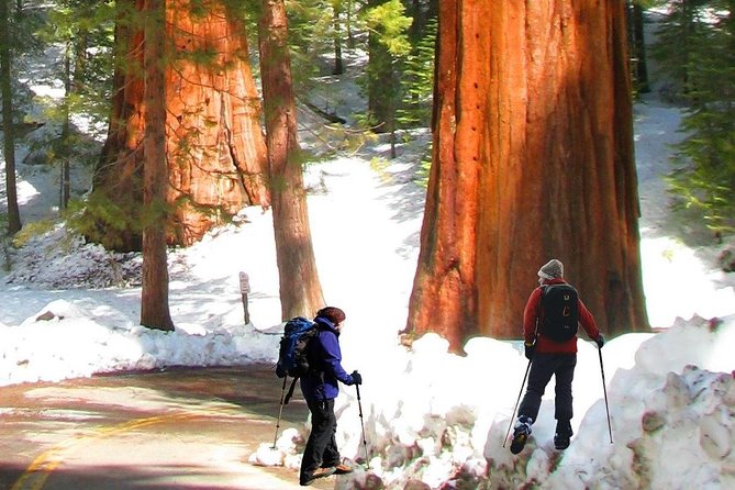 The Ultimate Yosemite and Lake Tahoe 5-Day Bucket List Experience - Lodging and Accommodations