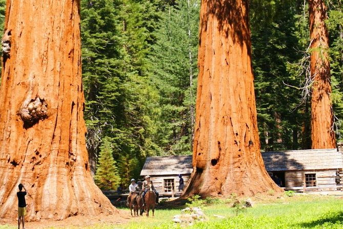 The Ultimate Yosemite Grand Experience - 4-Day Travel Package + Hotel Included - Accessibility and Health Restrictions