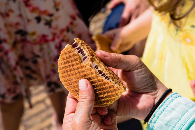 The Ultimate Zaanse-Schans Private Day Trip - Transportation and Accessibility