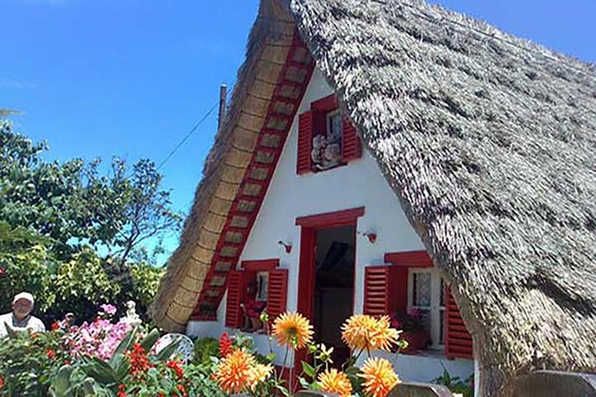 The Unspoiled North East Coast Tour - Ponta Delgada