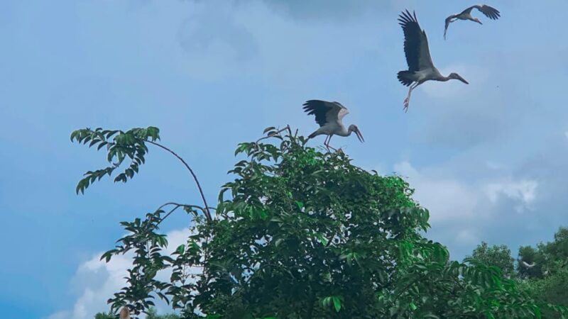 The Untouched Splendor of Lung Ngoc Hoang Nature Reserve - Pricing and Payment