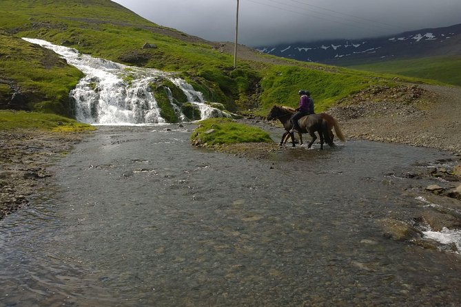 The Valley Ride Private HORSE RIDING Tour - Requirements and Restrictions
