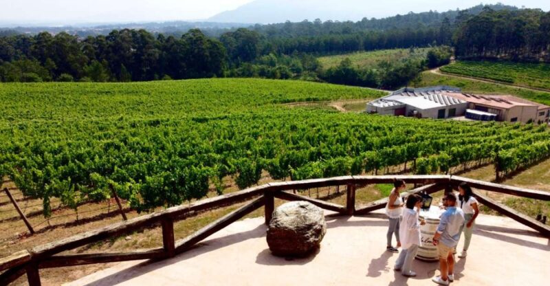 The Valmiñor Viewpoint - Key Points