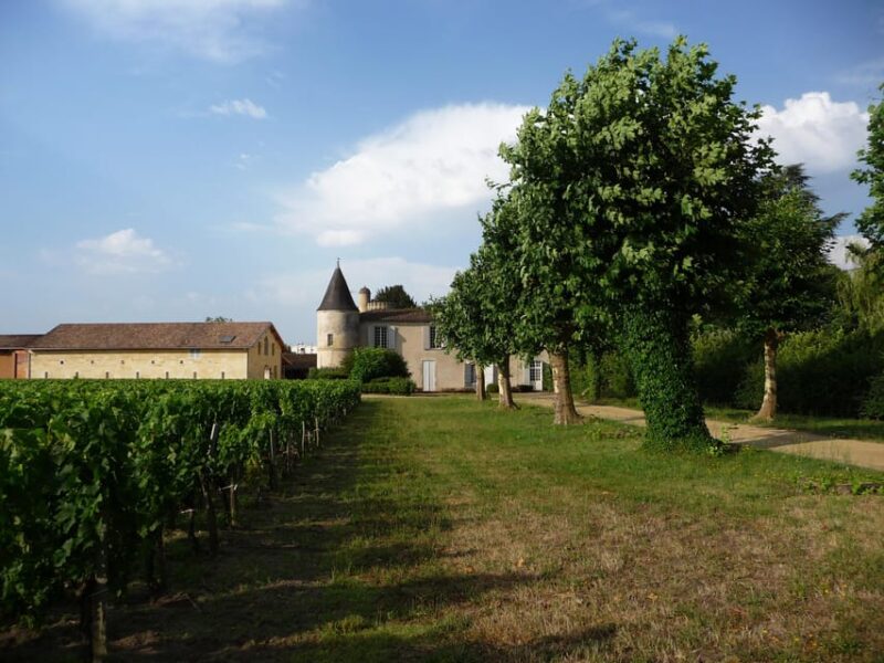 The Vertical at Château Cruzeau - Tour Duration and Accessibility