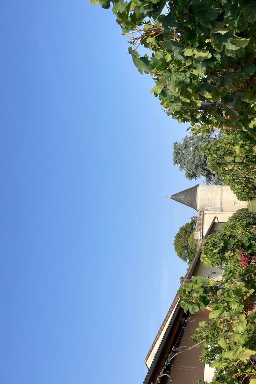 The Vertical at Château Cruzeau - Customer Feedback and Ratings