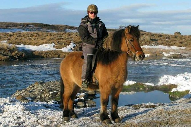 The Viking Horse Riding Experience in North Iceland - Customer Feedback