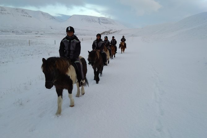 The Viking Horse Riding Experience in North Iceland - Booking and Pricing