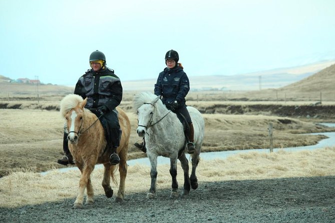The Viking Horse Riding Experience in North Iceland - Unique Features of the Tour