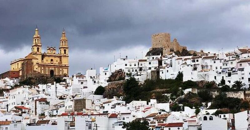 The Villages of Andalusia: Full-Day Trip From Seville - Itinerary Highlights