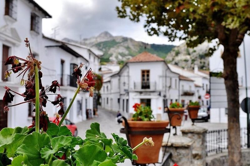 The Villages of Andalusia: Full-Day Trip From Seville - Customer Reviews