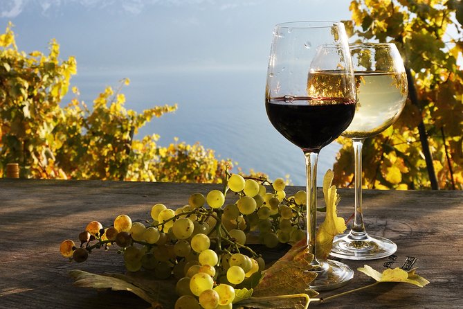 The Vine Tour (Private Tour) - Key Points